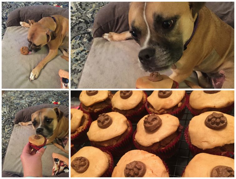 ruby-pupcakes2